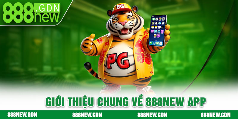 Giới thiệu chung về 888new app