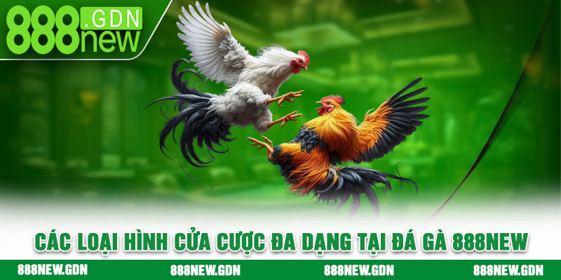 Các loại hình cửa cược đa dạng tại đá gà 888new