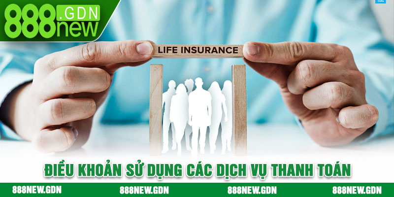Điều khoản sử dụng các dịch vụ thanh toán 