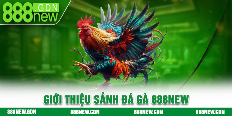 Giới thiệu sảnh đá gà 888new