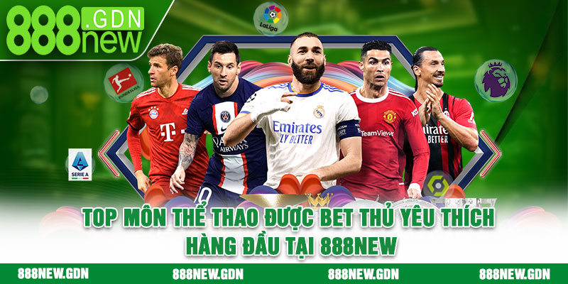 Top môn thể thao được bet thủ yêu thích hàng đầu tại 888new