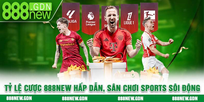 Tỷ lệ cược 888new hấp dẫn, sân chơi sports sôi động